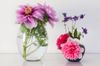 How to keep flowers fresh for a long time at home