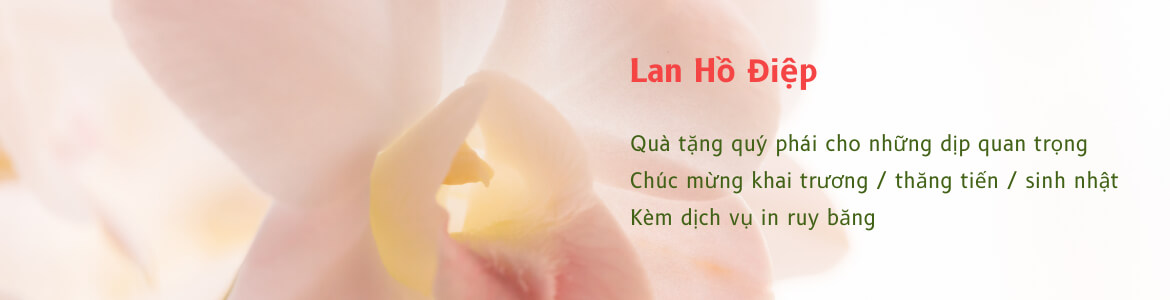 Hoa Lan