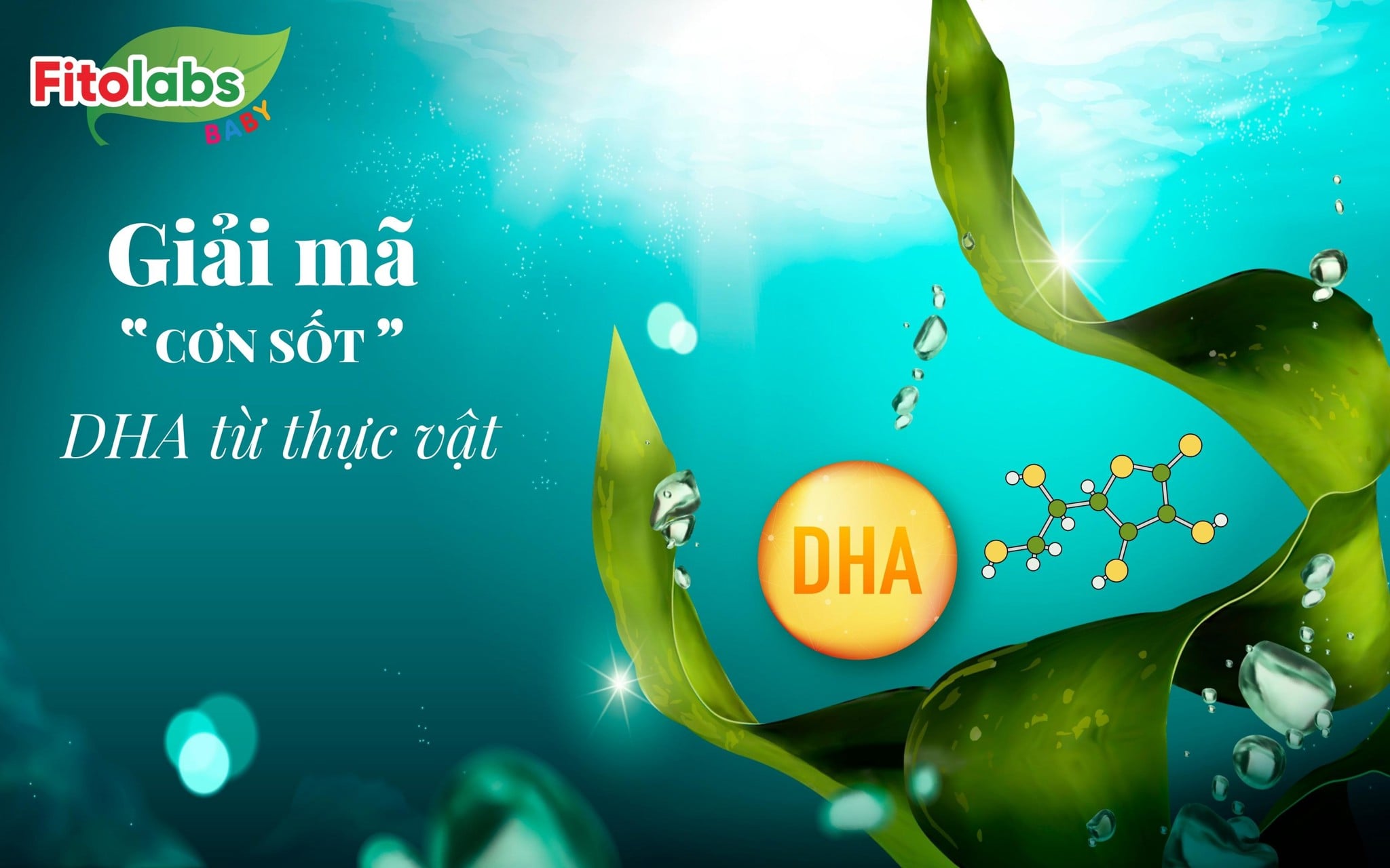 Giải mã “cơn sốt” DHA từ thực vật  | Fitolabs