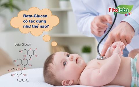 Beta glucan là gì? Có tác dụng như thế nào đối với sức đề kháng | Fitolabs