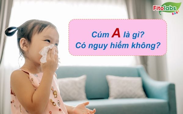 Cúm A là gì? Có nguy hiểm không? | Fitolabs