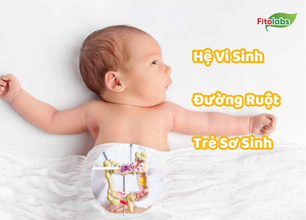 Hệ Sinh Đường Ruột Ở Trẻ Sơ Sinh: Hiểu Đúng Để Tăng Cường Sức Khoẻ Cho Bé!