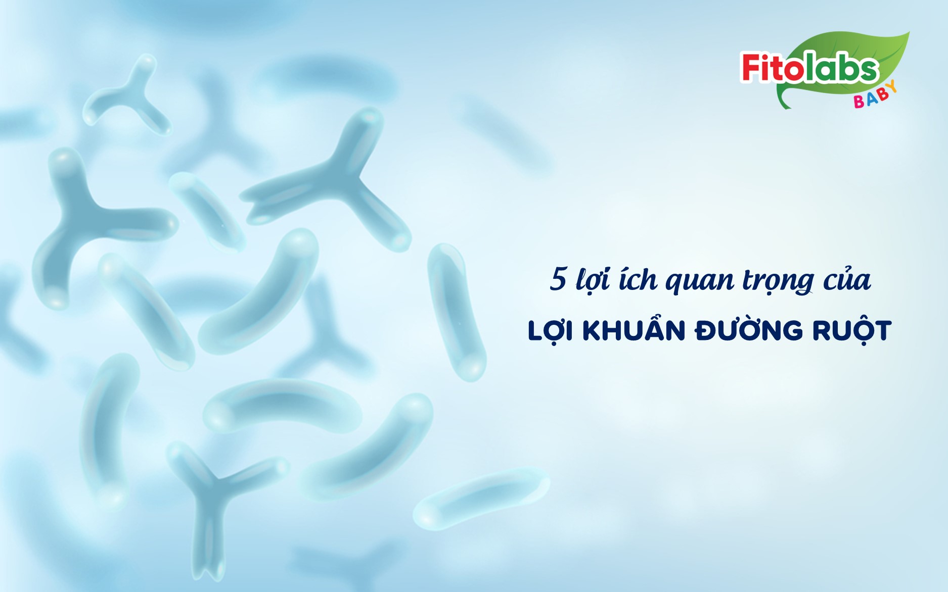 5 lợi ích quan trọng của lợi khuẩn đường ruột đối với sức khỏe của bé | Fitolabs