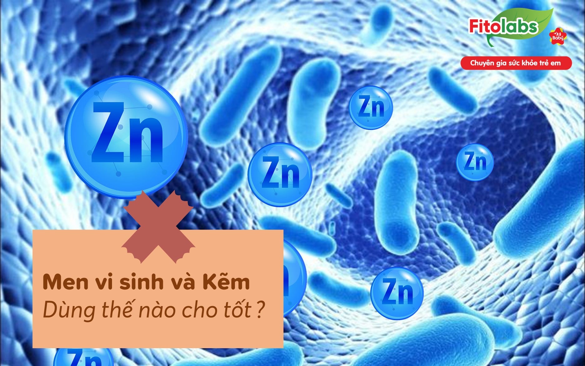 Men vi sinh và kẽm dùng thế nào cho tốt?