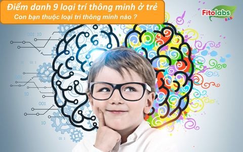 Điểm danh 9 loại trí thông minh ở trẻ - Con bạn thuộc loại trí thông minh nào? | Fitolabs