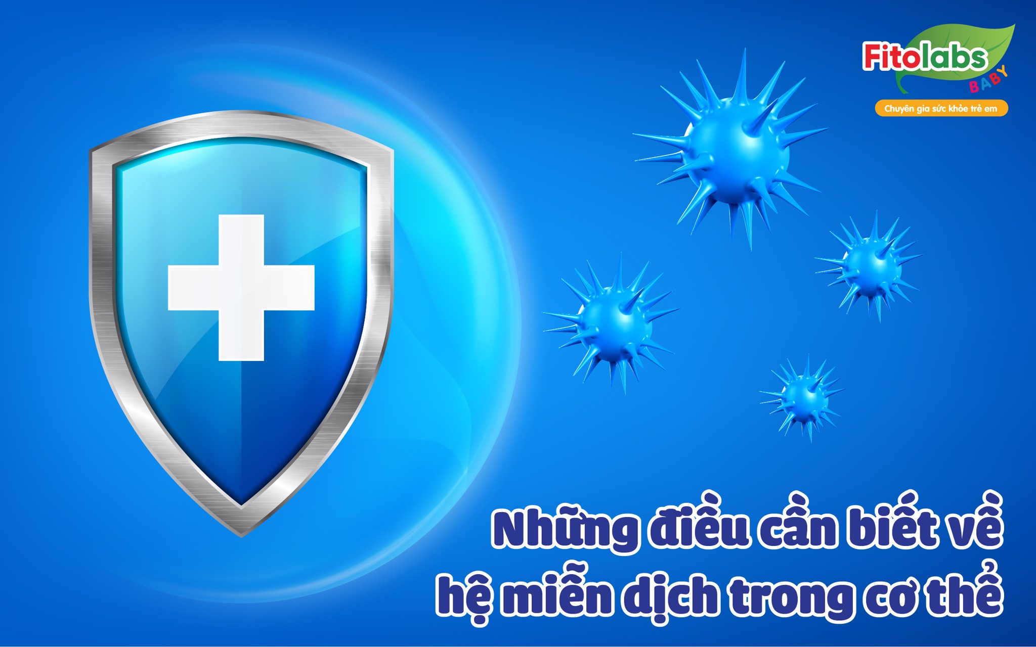 Những điều cần biết về hệ miễn dịch trong cơ thể | Fitolabs
