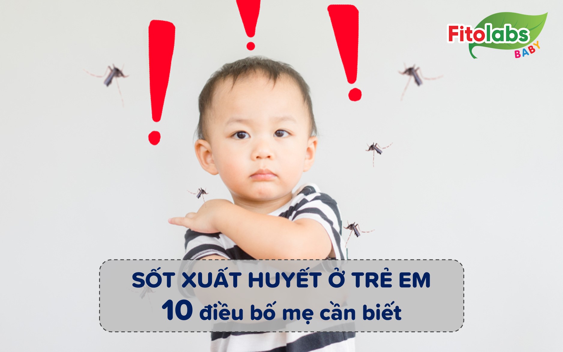 Sốt xuất huyết ở trẻ em - 10 điều bố mẹ cần biết | Fitolabs