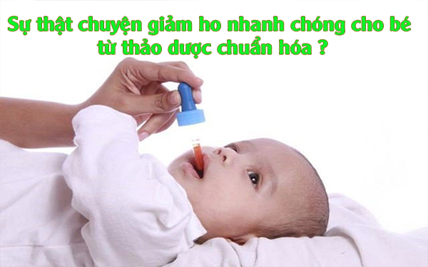 Sự thật chuyện giảm ho nhanh chóng cho bé từ thảo dược chuẩn hóa