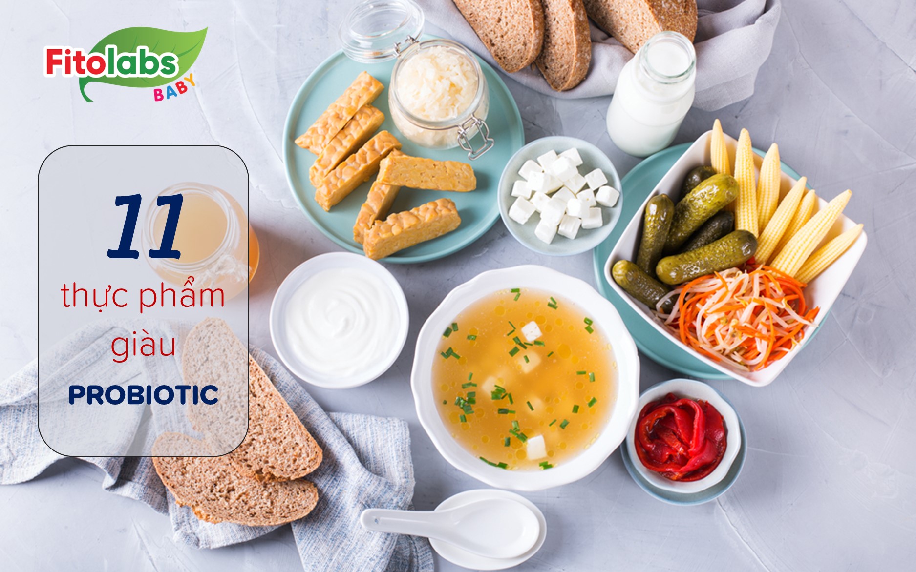 Top 11 thực phẩm giàu probiotic siêu bổ cho sức khỏe | Fitolabs