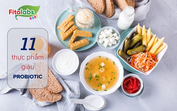 Top 11 thực phẩm giàu probiotic siêu bổ cho sức khỏe | Fitolabs