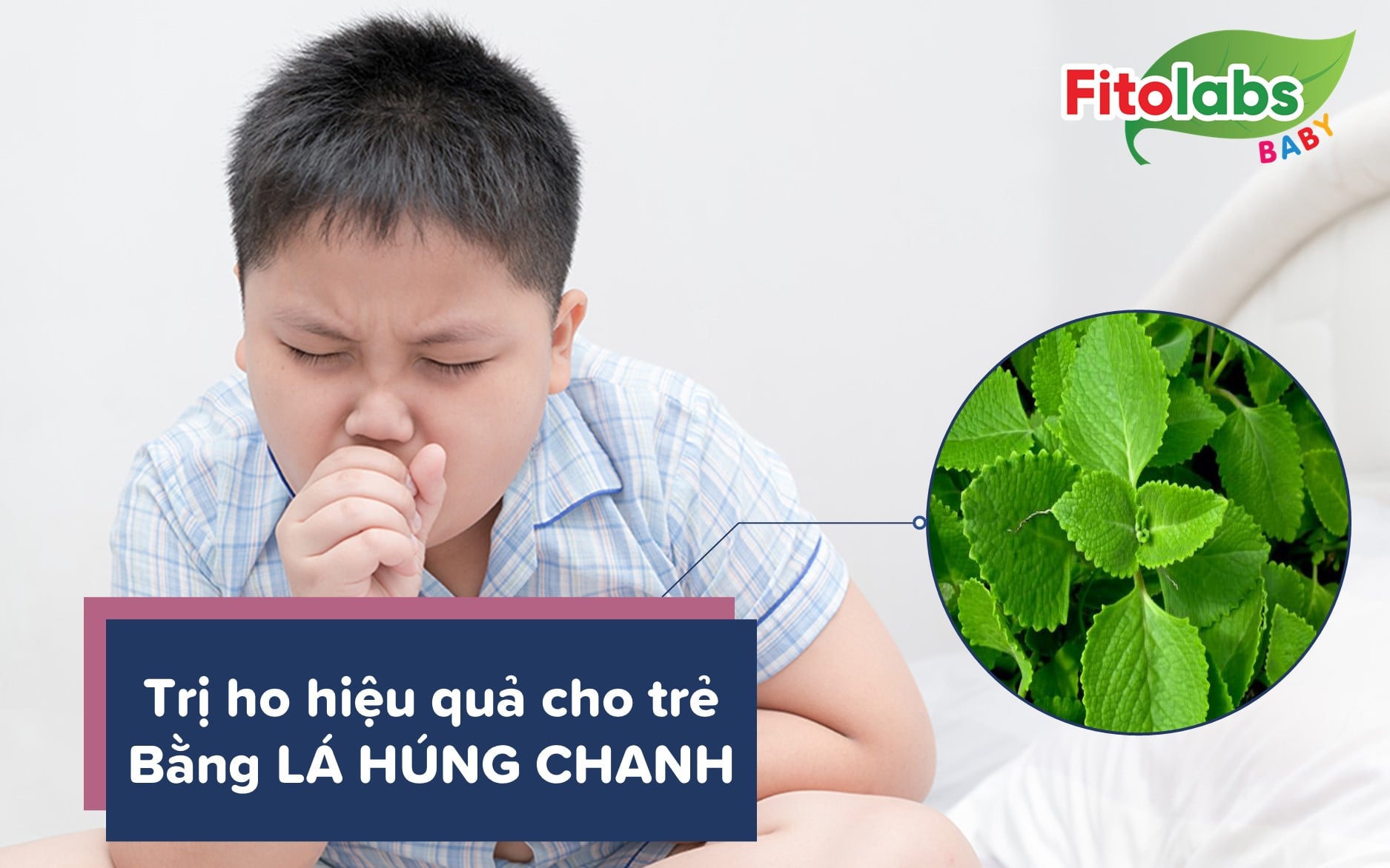 Trị ho hiệu quả cho trẻ bằng lá húng chanh