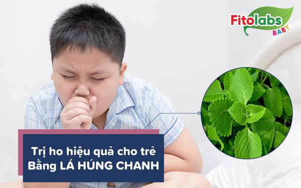 Trị ho hiệu quả cho trẻ bằng lá húng chanh