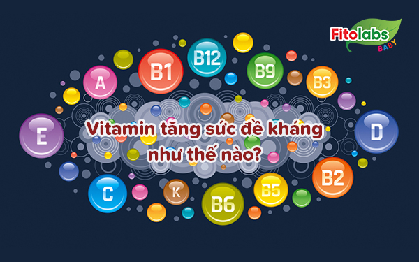 Vitamin tăng sức đề kháng như thế nào? Những lưu ý đặc biệt khi sử dụng | Fitolabs