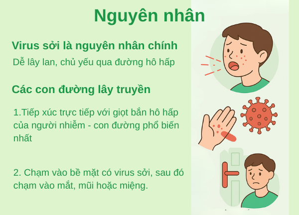 nguyên nhân bệnh sởi