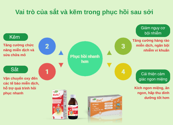 vai trò của sắt, kẽm trong hỗ trợ điều trị bệnh sởi