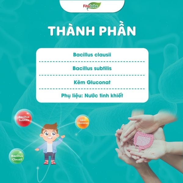 thành phần men vi sinh Bacipro