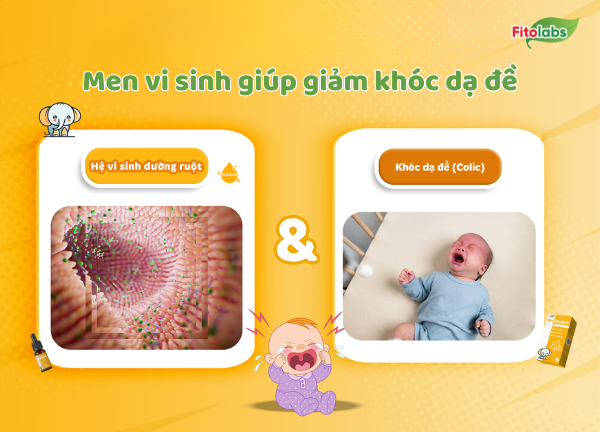 men vi sinh giúp giảm khóc dạ đề
