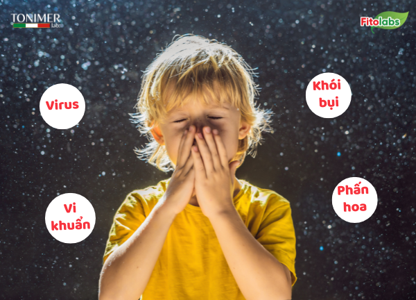 tại sao cần vệ sinh mũi
