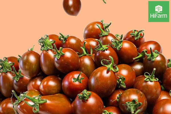 5 tip chọn cà chua ngon đừng bỏ qua