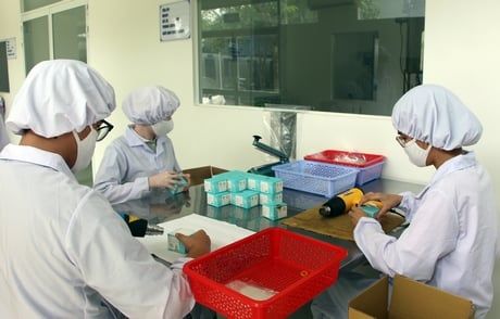 Khởi nghiệp xanh: Phát triển giá trị tài nguyên bản địa