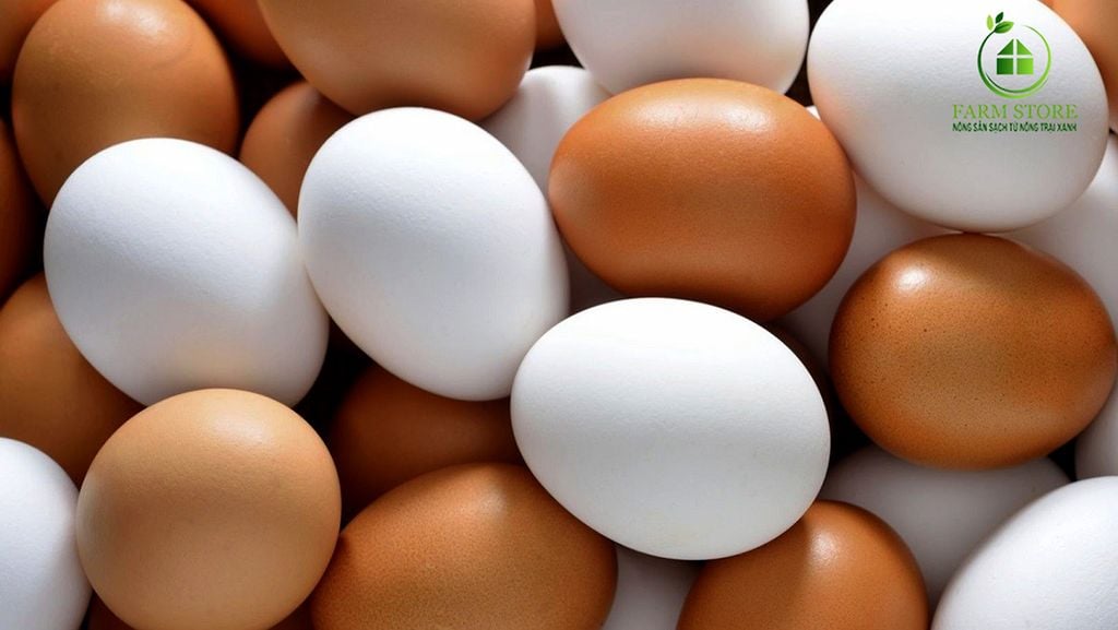 Trứng thường được đưa vào bữa ăn hàng ngày bởi rất giàu vitamin D