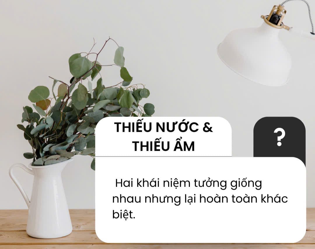 THIẾU NƯỚC or THIẾU ẨM KHÁC NHAU RA SAO VÀ ĐÂU LÀ ĐIỀU LÀN DA CỦA BẠN CẦN NGAY LÚC NÀY?
