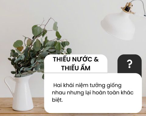 THIẾU NƯỚC or THIẾU ẨM KHÁC NHAU RA SAO VÀ ĐÂU LÀ ĐIỀU LÀN DA CỦA BẠN CẦN NGAY LÚC NÀY?