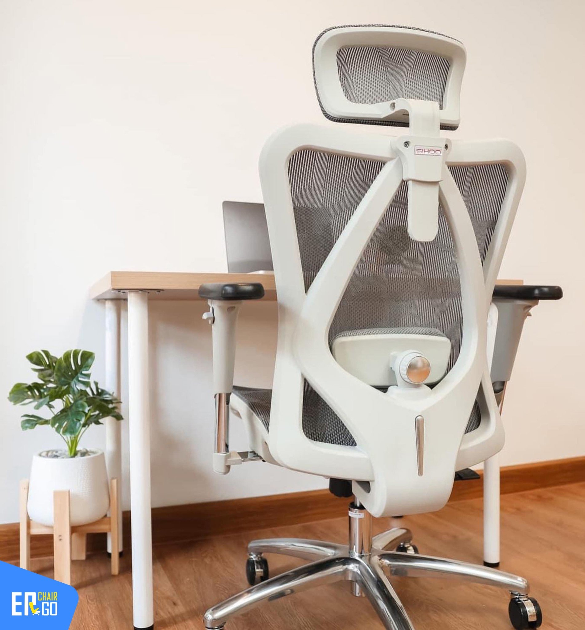 Hình ảnh thực tế của Ghế công thái học Sihoo M57