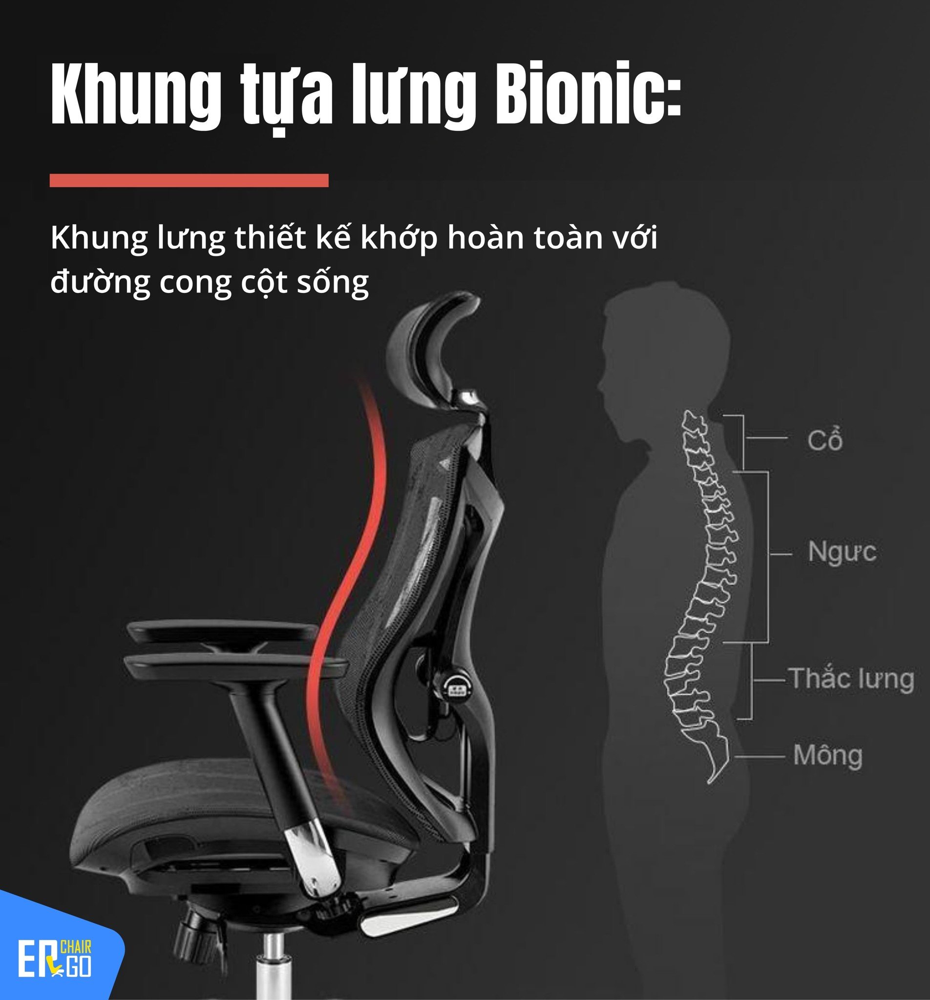 1. Khung lưng Bionic uốn cong theo hình dáng sinh học của cột sống, tích hợp gối đệm hỗ trợ giảm mỏi lưng hiệu quả