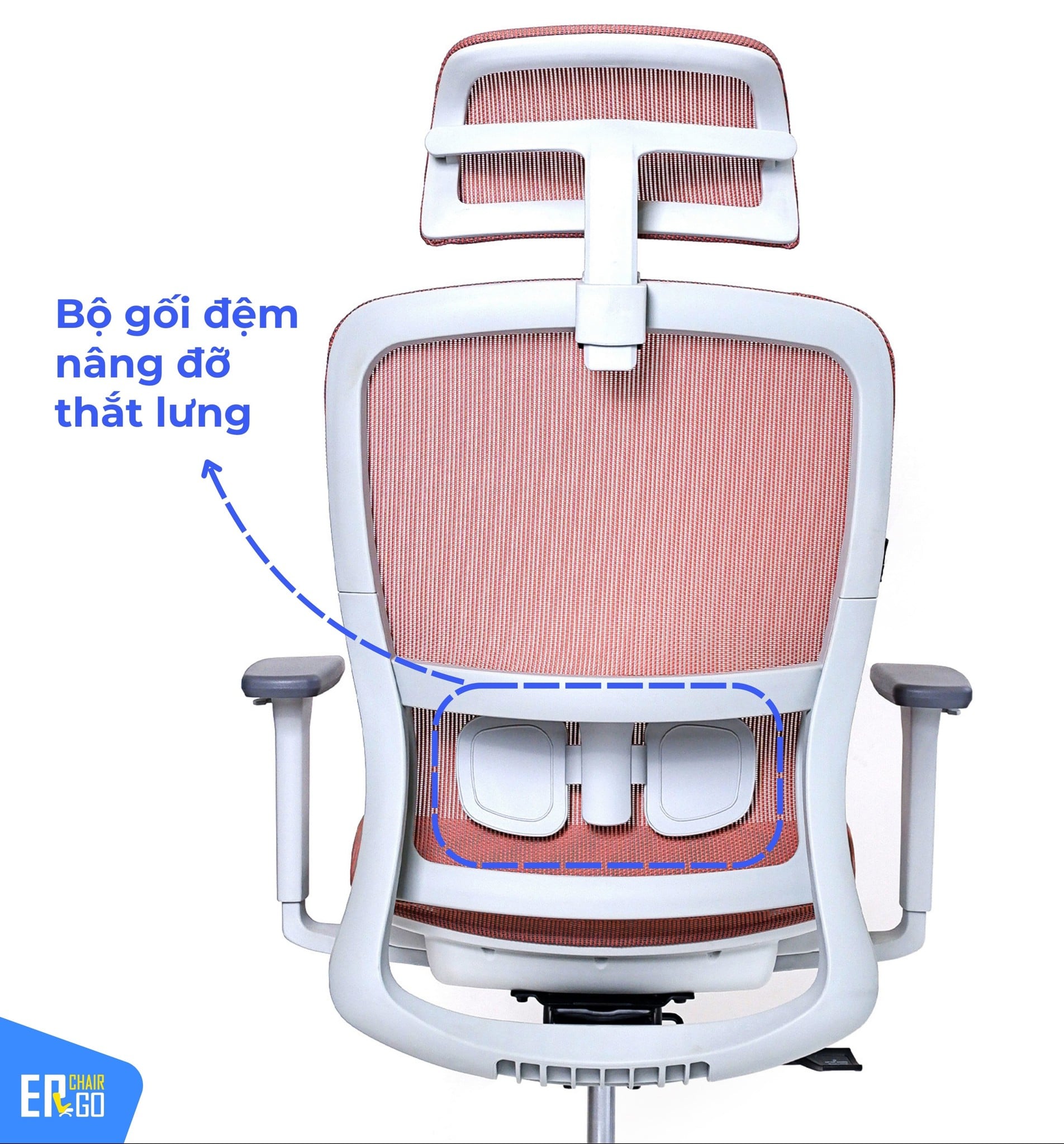 Ghế Công Thái Học Gami Lum2 bản 3D và 2D có Tựa lưng cong ôm sát, ngả 2 hoặc 3 nấc tuỳ phiên bản
