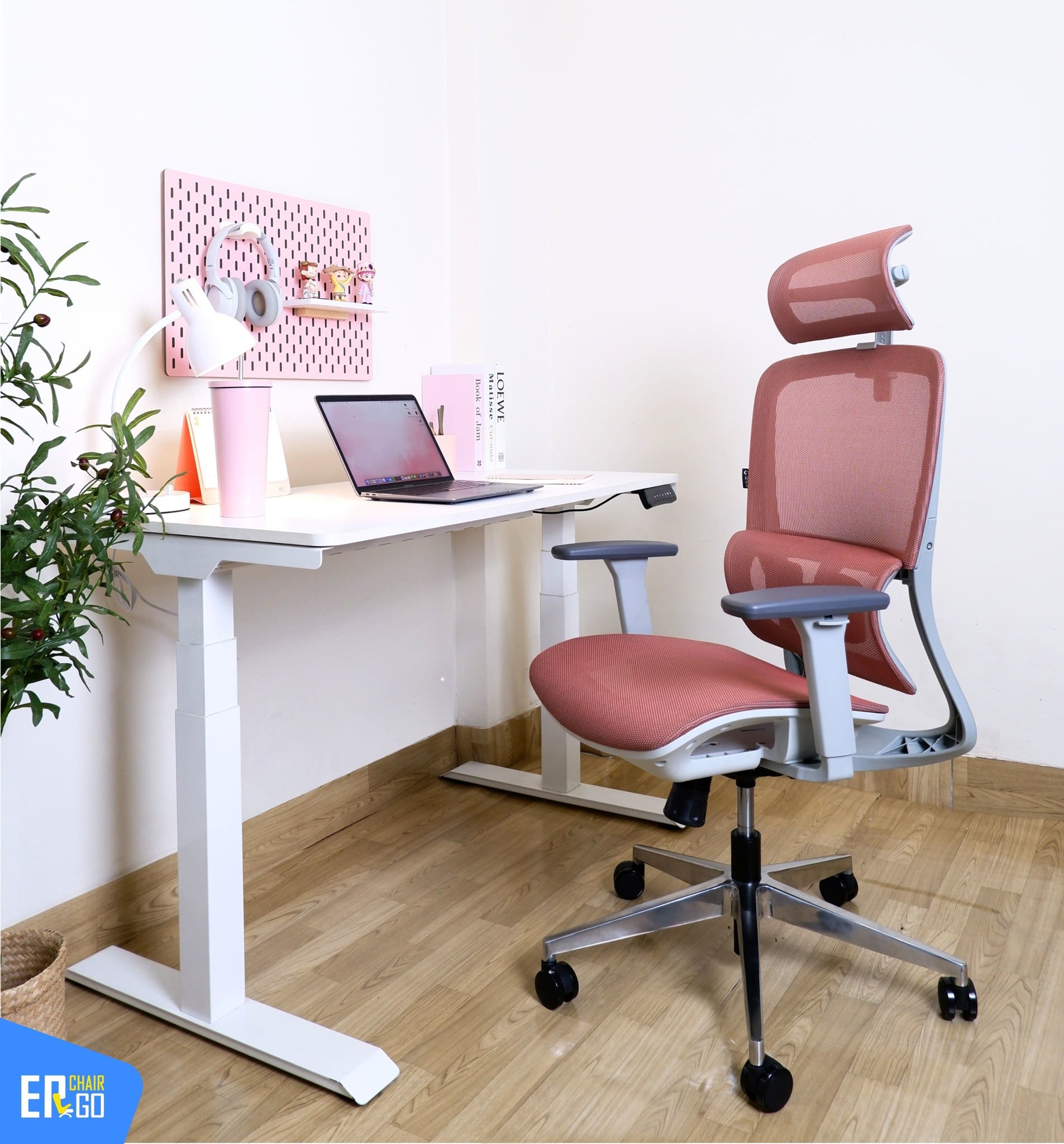 Hình ảnh thực tế của Ghế Công Thái Học Gami Lum2 bản 3D và 2D