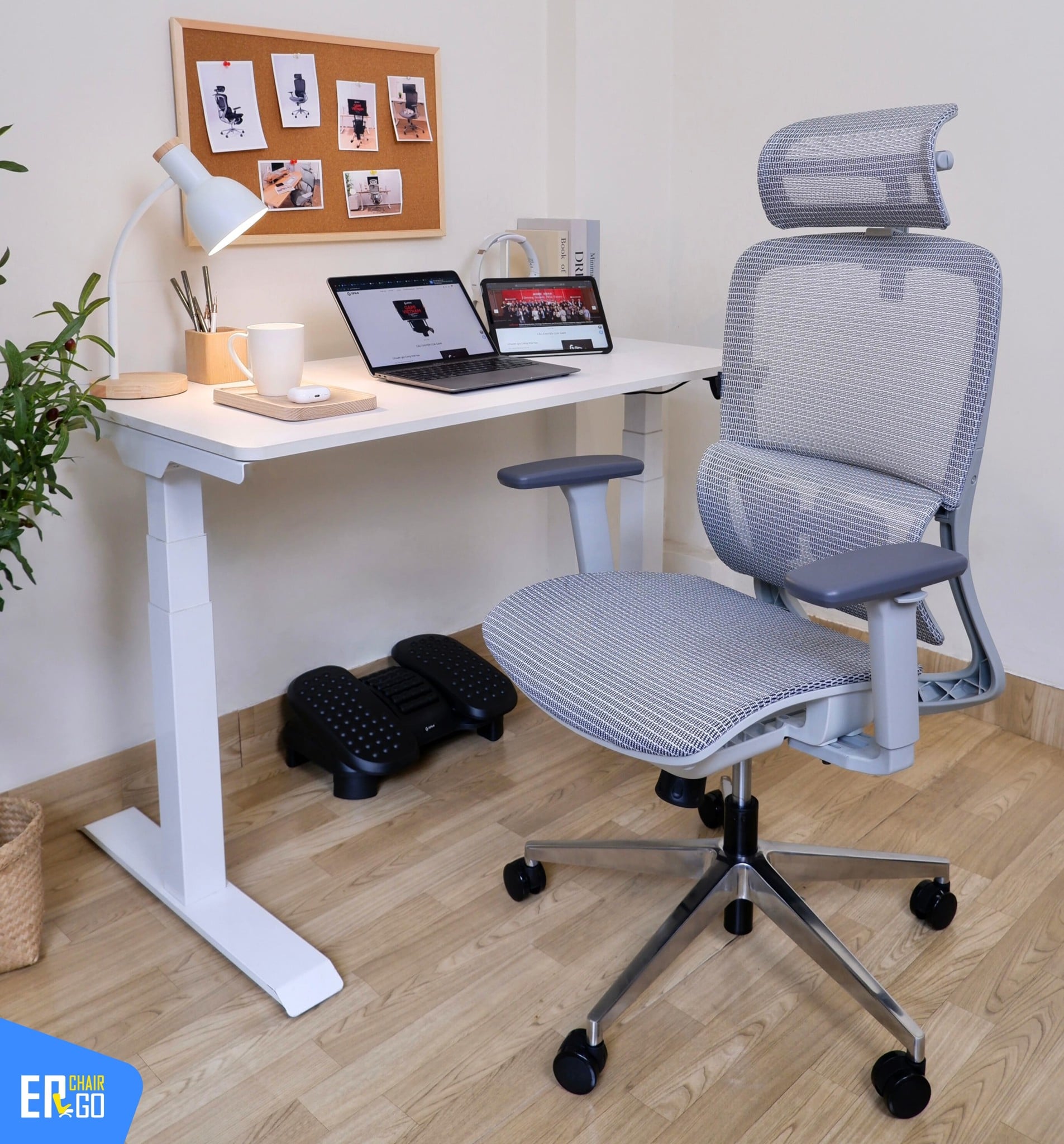 Hình ảnh thực tế của Ghế Công Thái Học Gami Lum2 bản 3D và 2D