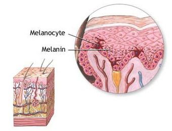 Phân tách da chứa melanin
