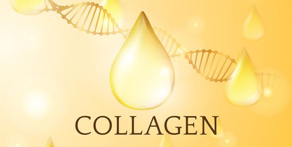 Sản xuất collagen