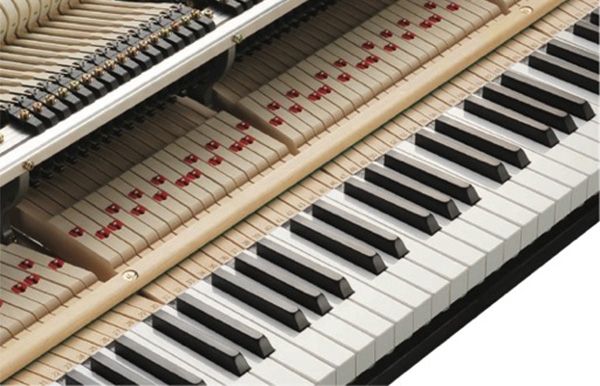 Grand Piano Kawai GL20