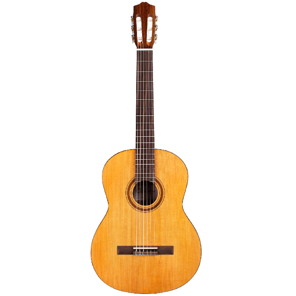 dan guitar cordoba c3m