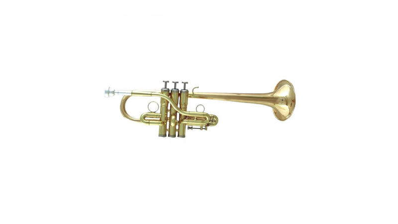 Kèn Trumpet D/Eb