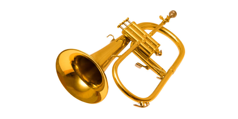 Kèn Trumpet Flugelhorn