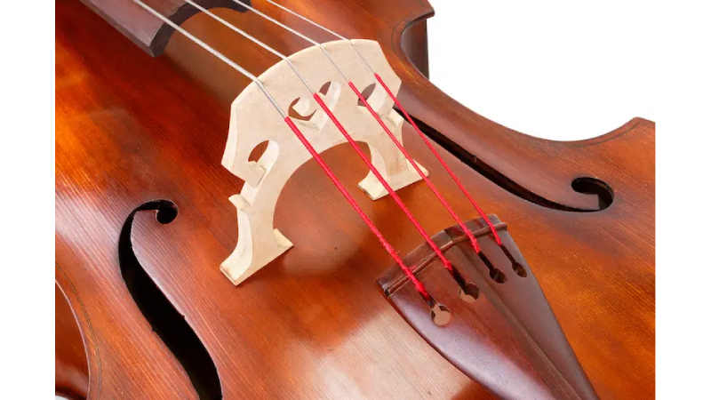 Cầu đàn double bass