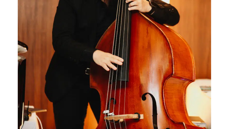 Phím đàn double bass