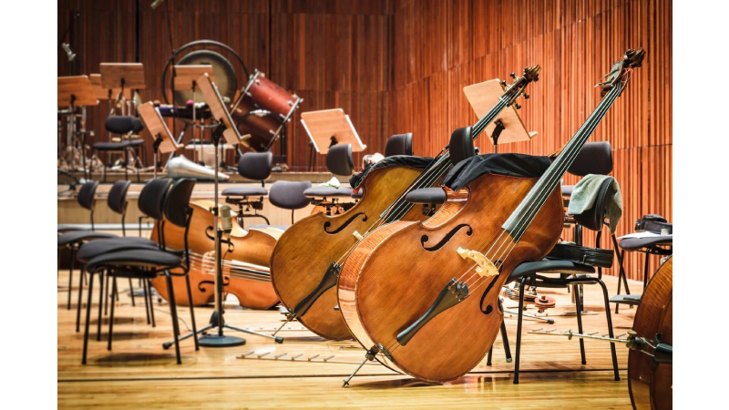 Cây đàn Double Bass