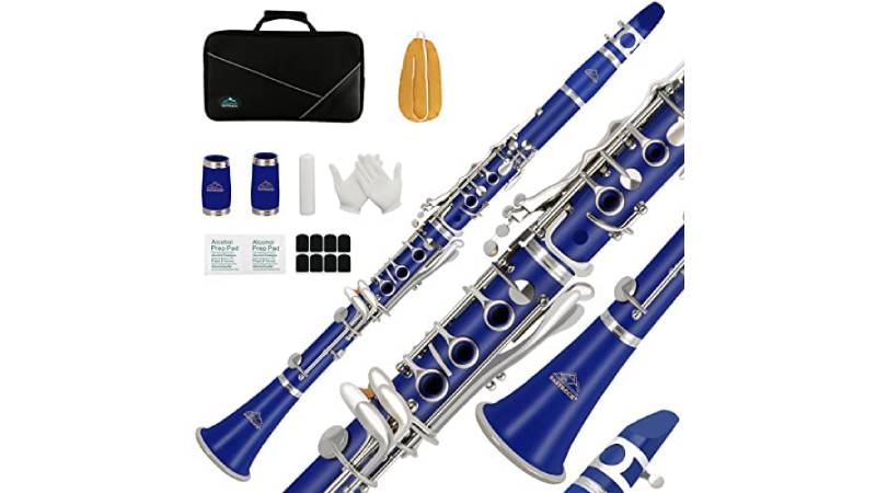 Kèn Clarinet Hisonic Signature Series Budget