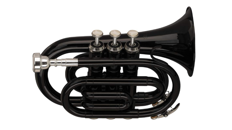 Trumpet Pocket Stagg WS-TR248S