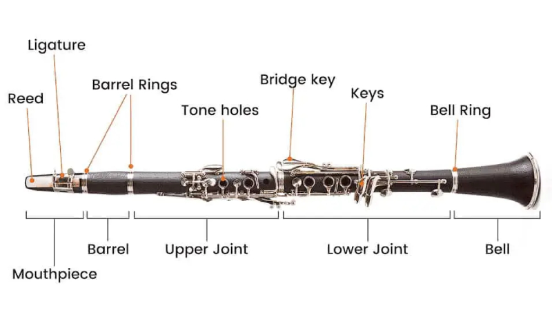 Các bộ của kèn clarinet