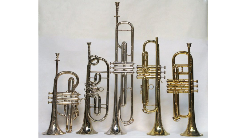 Kèn Trumpet Có Nhiều Hình Dạng Và Kích Cỡ Khác Nhau