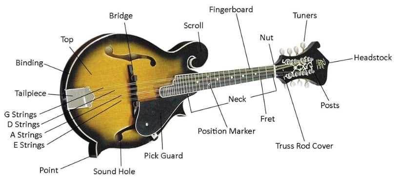 Các bộ phận của đàn Mandolin