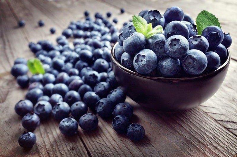 CHIẾT XUẤT VIỆT QUẤT - GIẢI PHÁP GIÚP CẢI THIỆN SỨC KHỎE HIỆU QUẢ – giafood