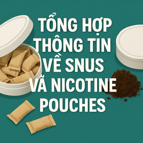 Tổng hợp thông tin về snus và nicotine pouches: