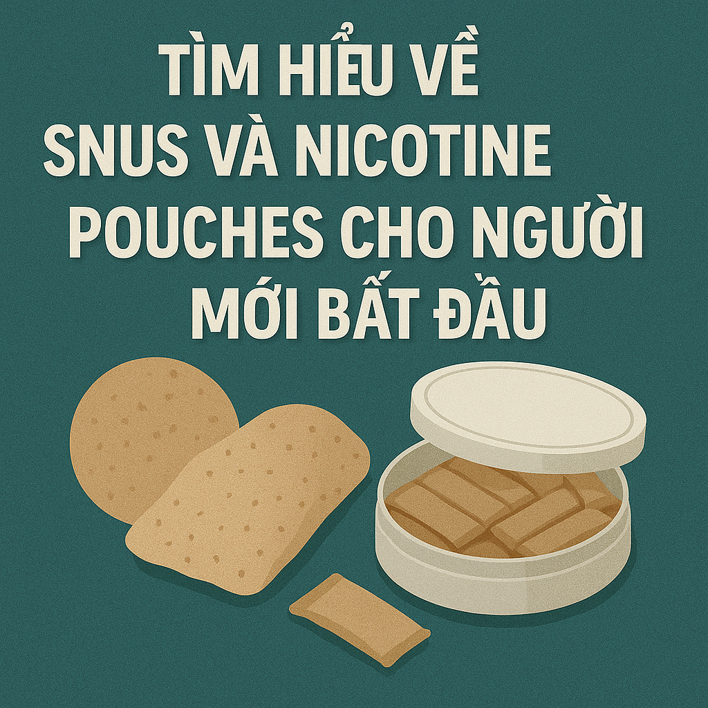 Tìm hiểu về Snus và Nicotine Pouches cho người mới bắt đầu