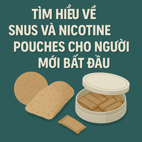 Tìm hiểu về Snus và Nicotine Pouches cho người mới bắt đầu